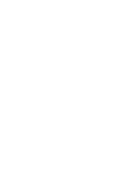 Logótipo do Serviço de Chaffeur