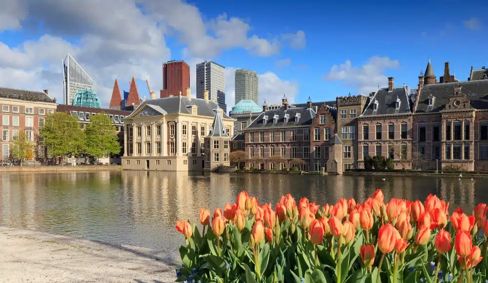 The Hague