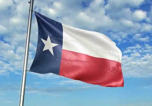Texas flag