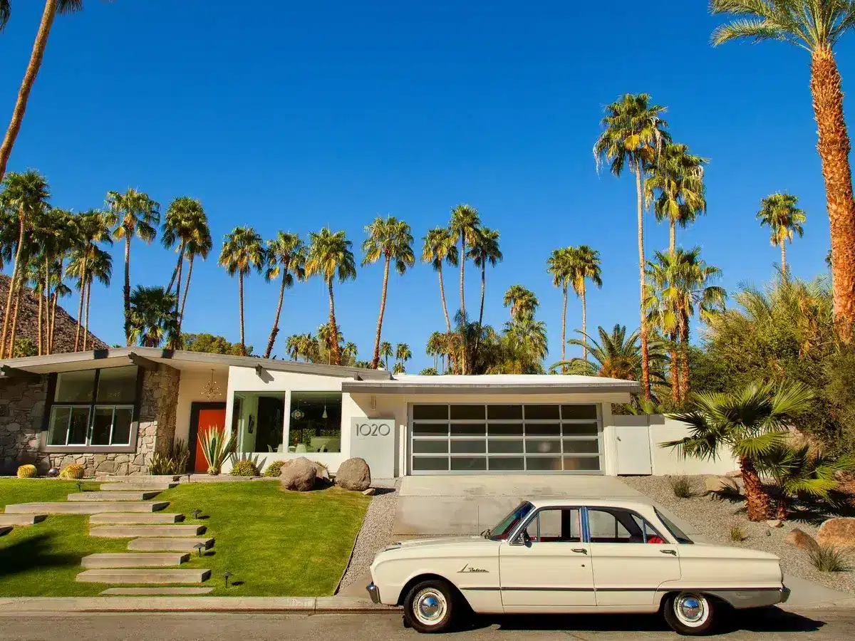 Palm Springs View