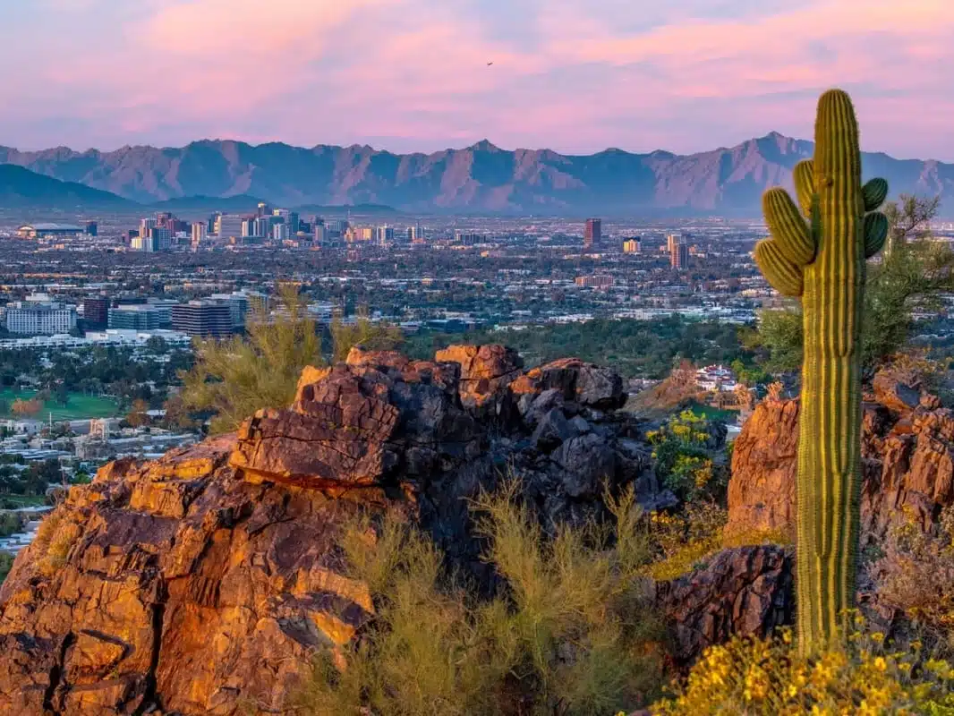 Professional Chauffeur Service in Phoenix: Luxury Transportation for Business and Beyond