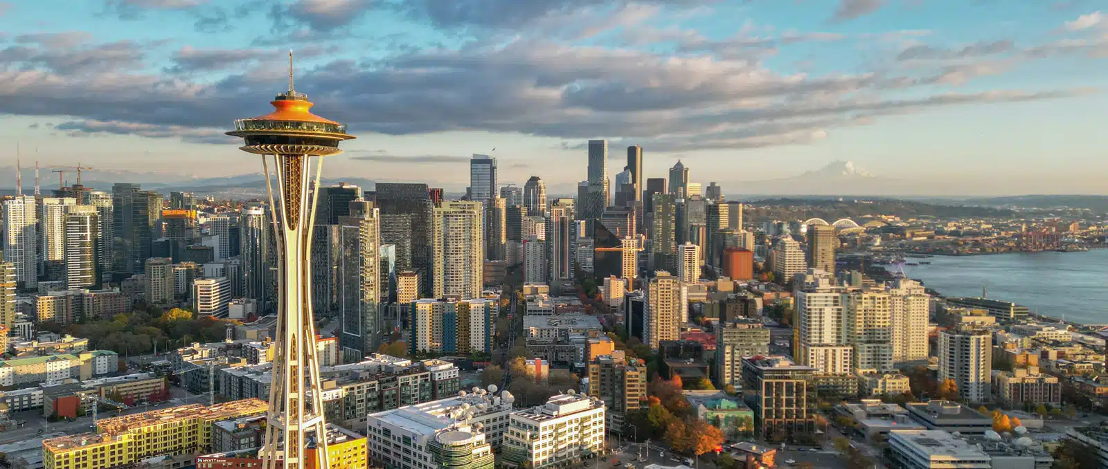 Seattle chauffeur service