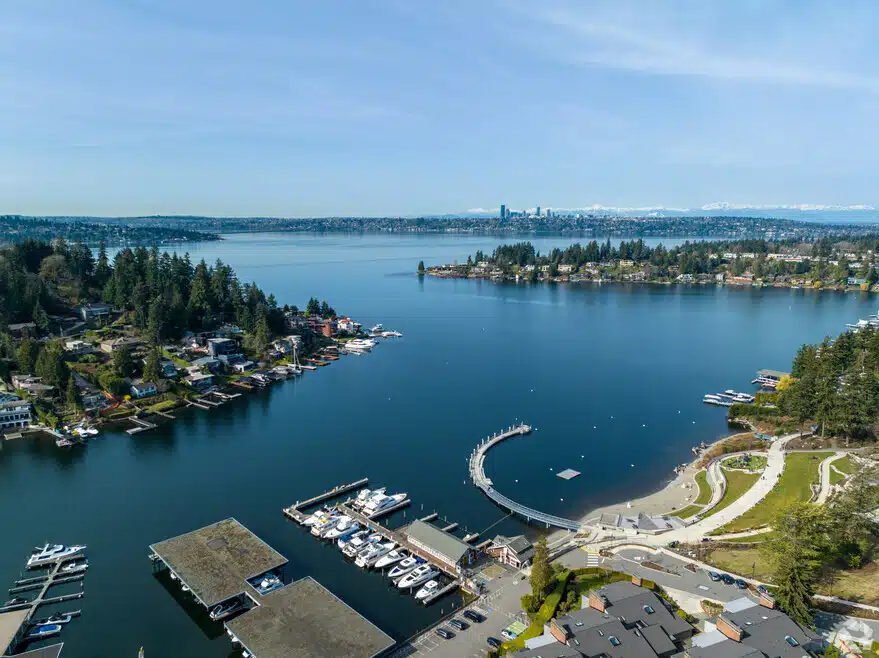 chauffeur service in Bellevue
