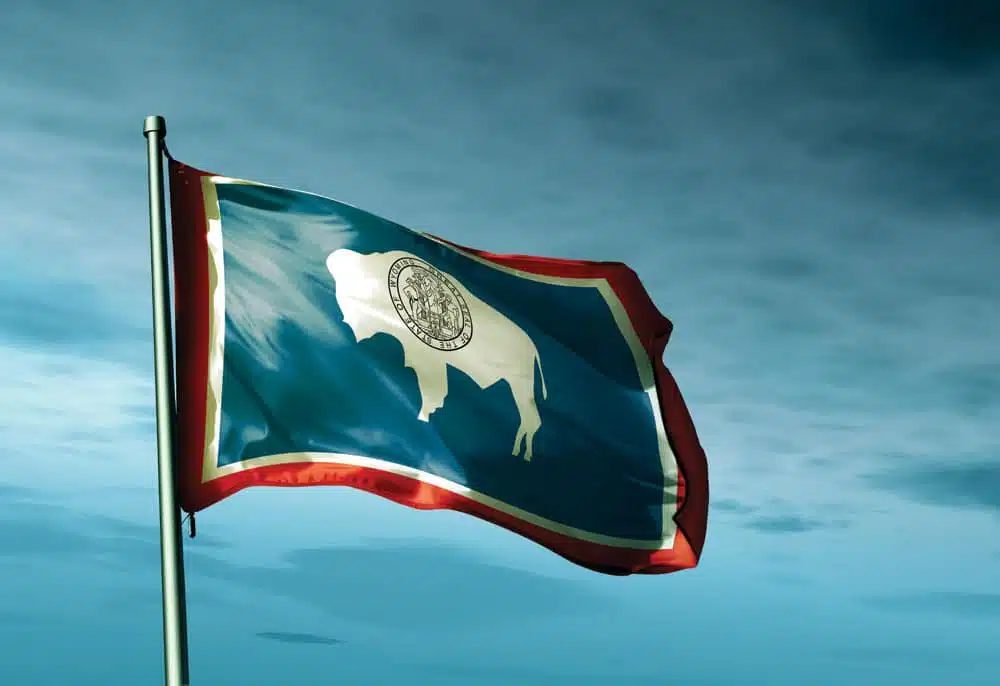 Wyoming chauffeur service