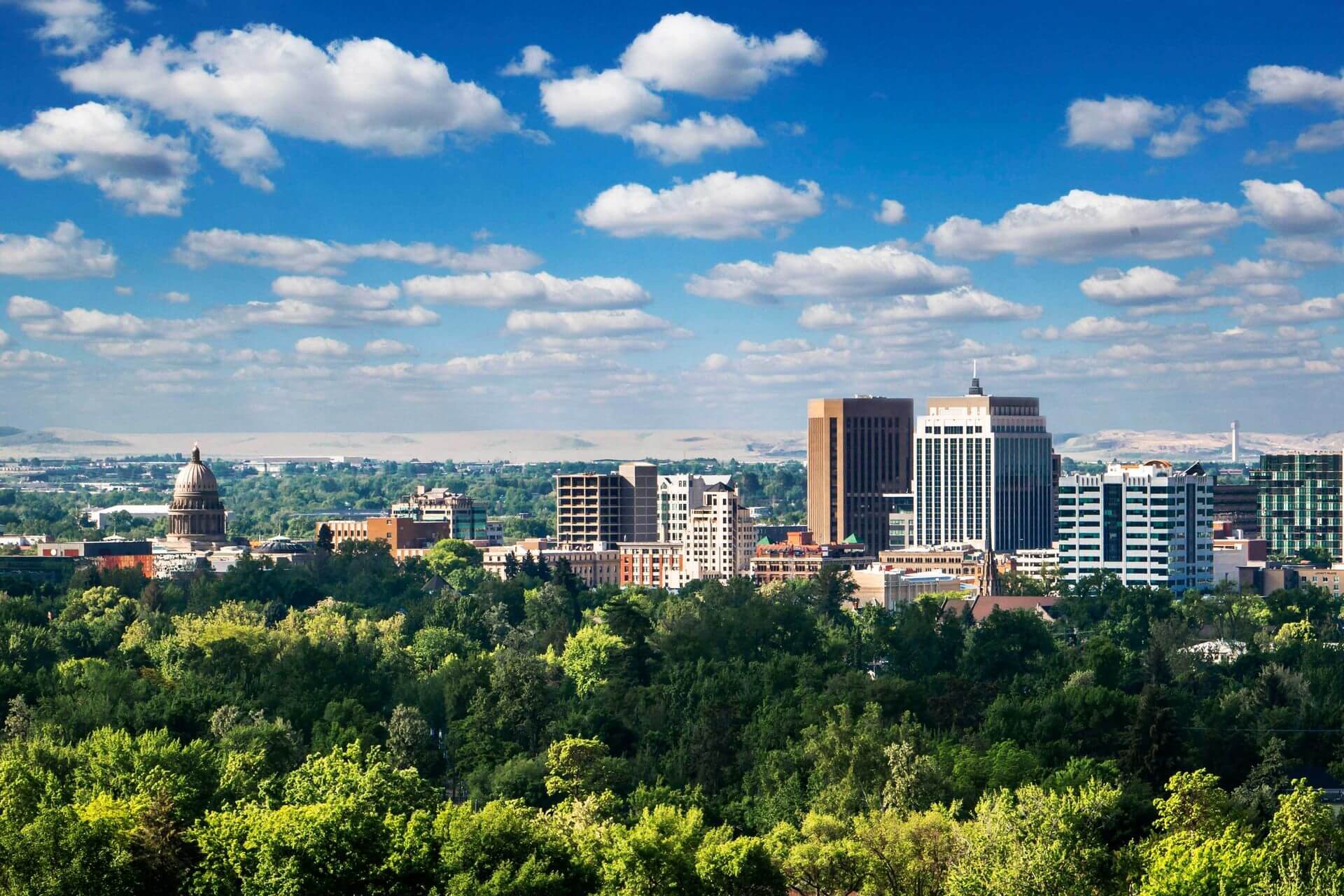 Boise chauffeur services