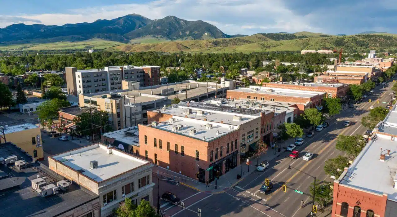 Bozeman chauffeur service