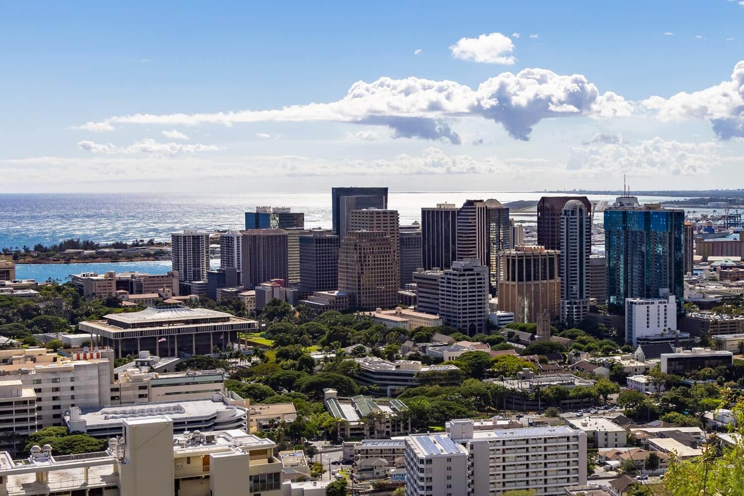 Honolulu chauffeur service