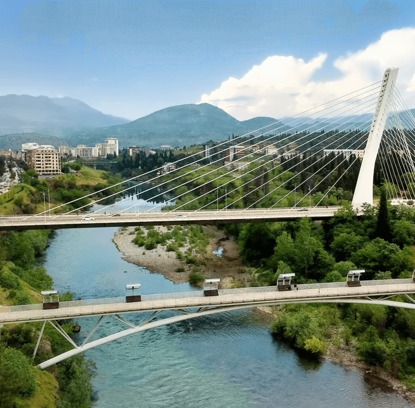 Podgorica private driver