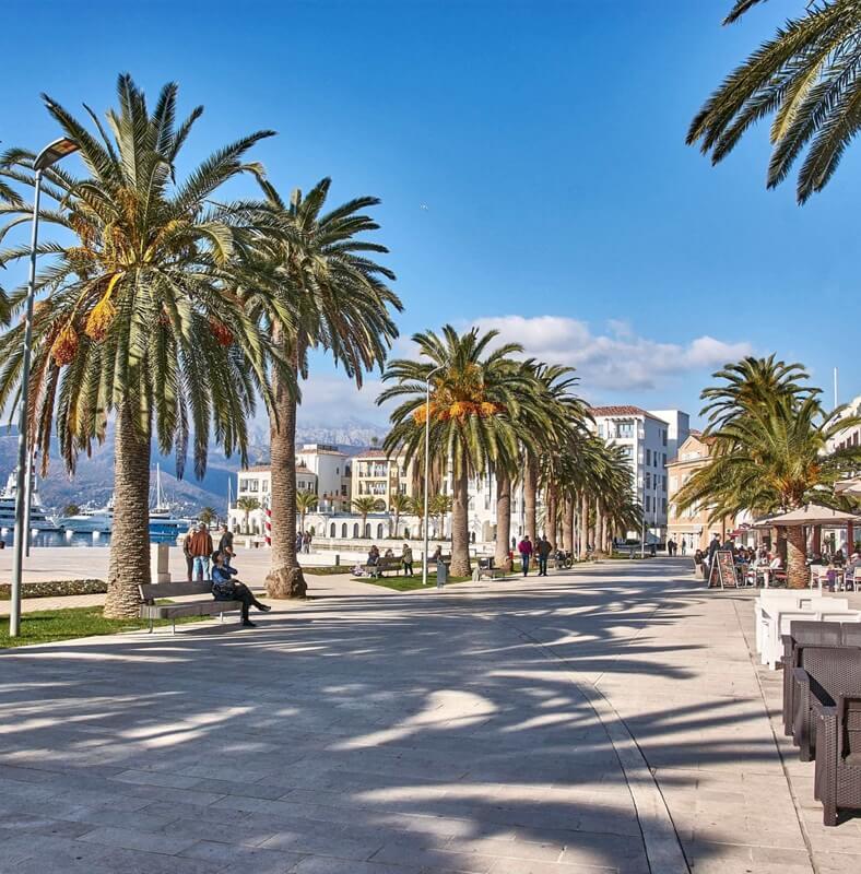 Tivat private driver