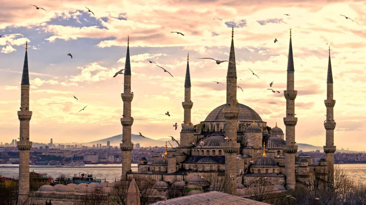 Istanbul chauffeur service