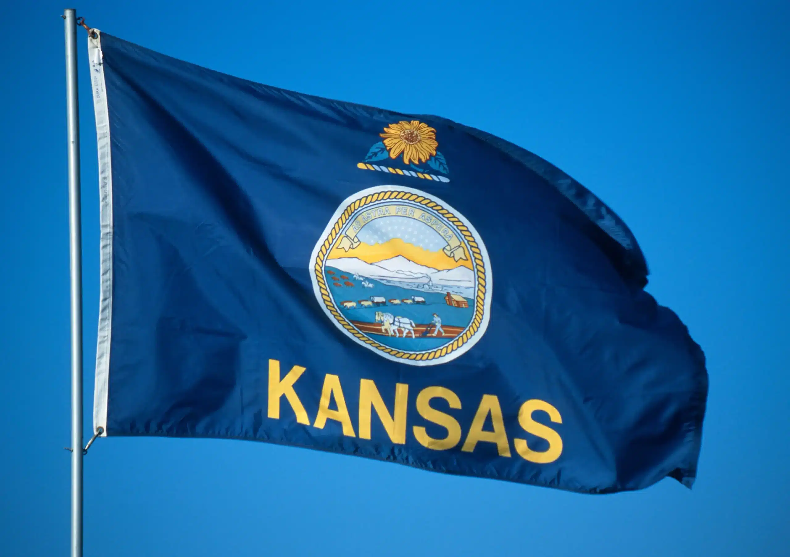 kansas flag