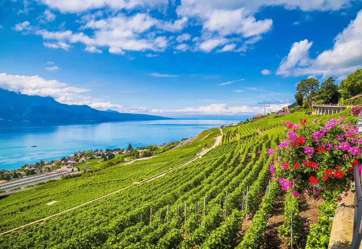 lavaux
