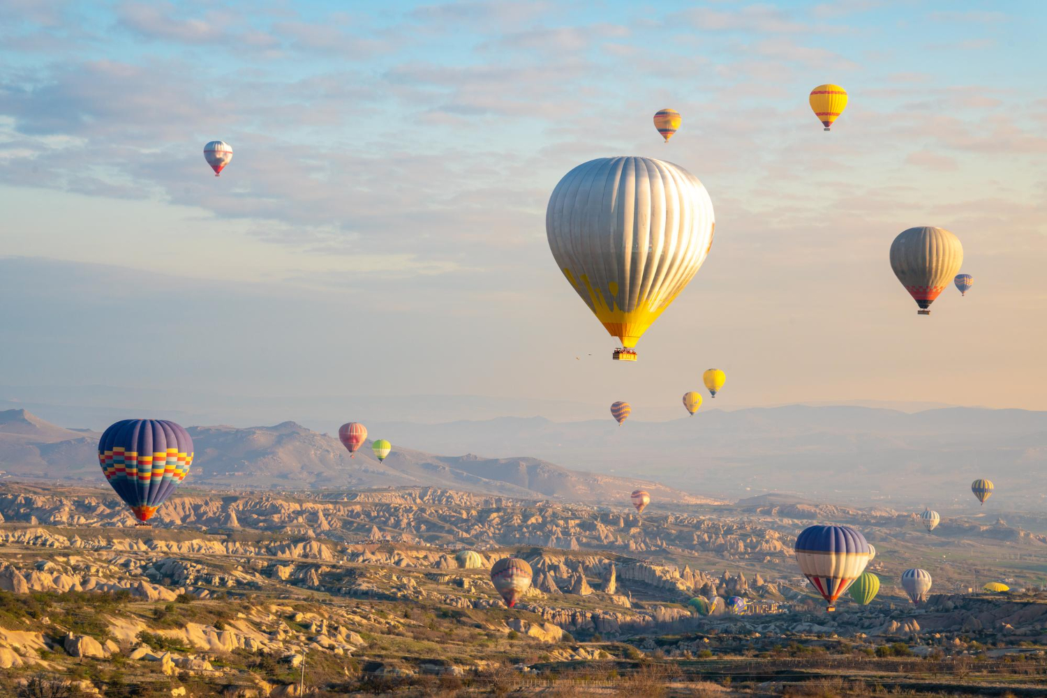 autista privato in Turchia