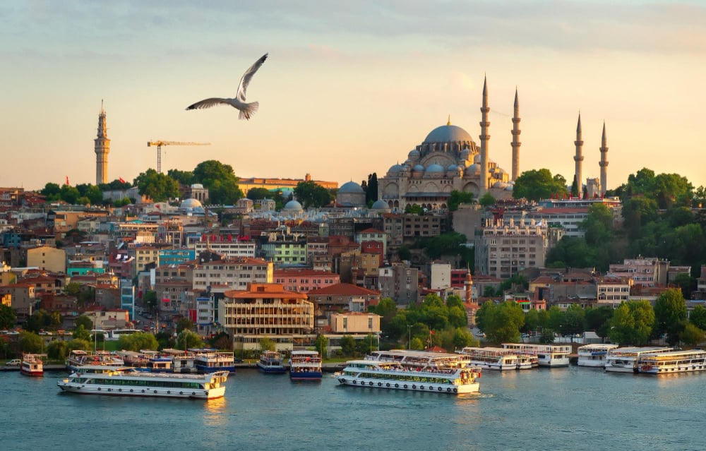 Turkey for Business and Leisure: Why a Private Driver Makes All the Difference