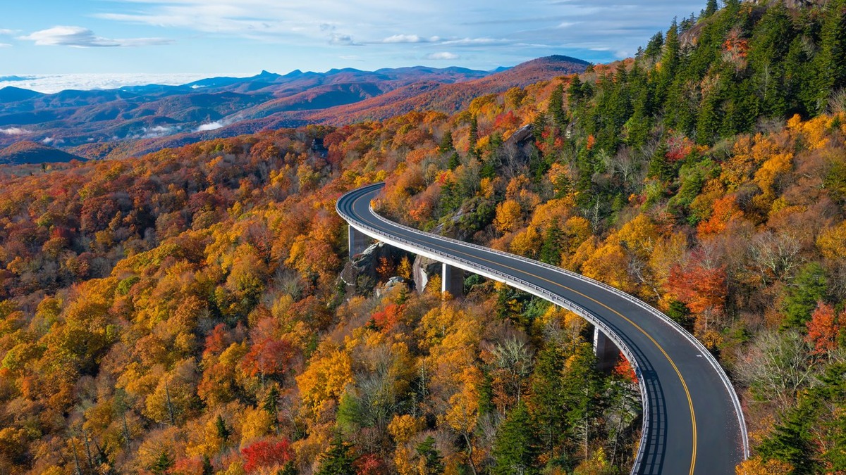 motorista particular no canadá