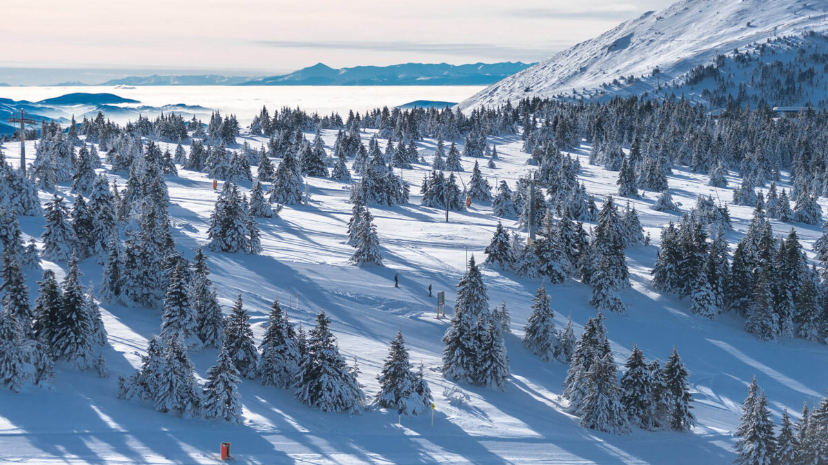 Kopaonik chauffeur service