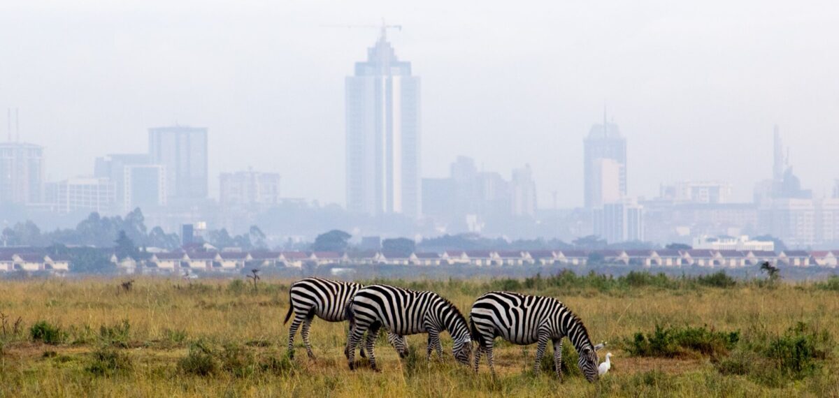 Nairobi 7 Nairobi chauffeur service
