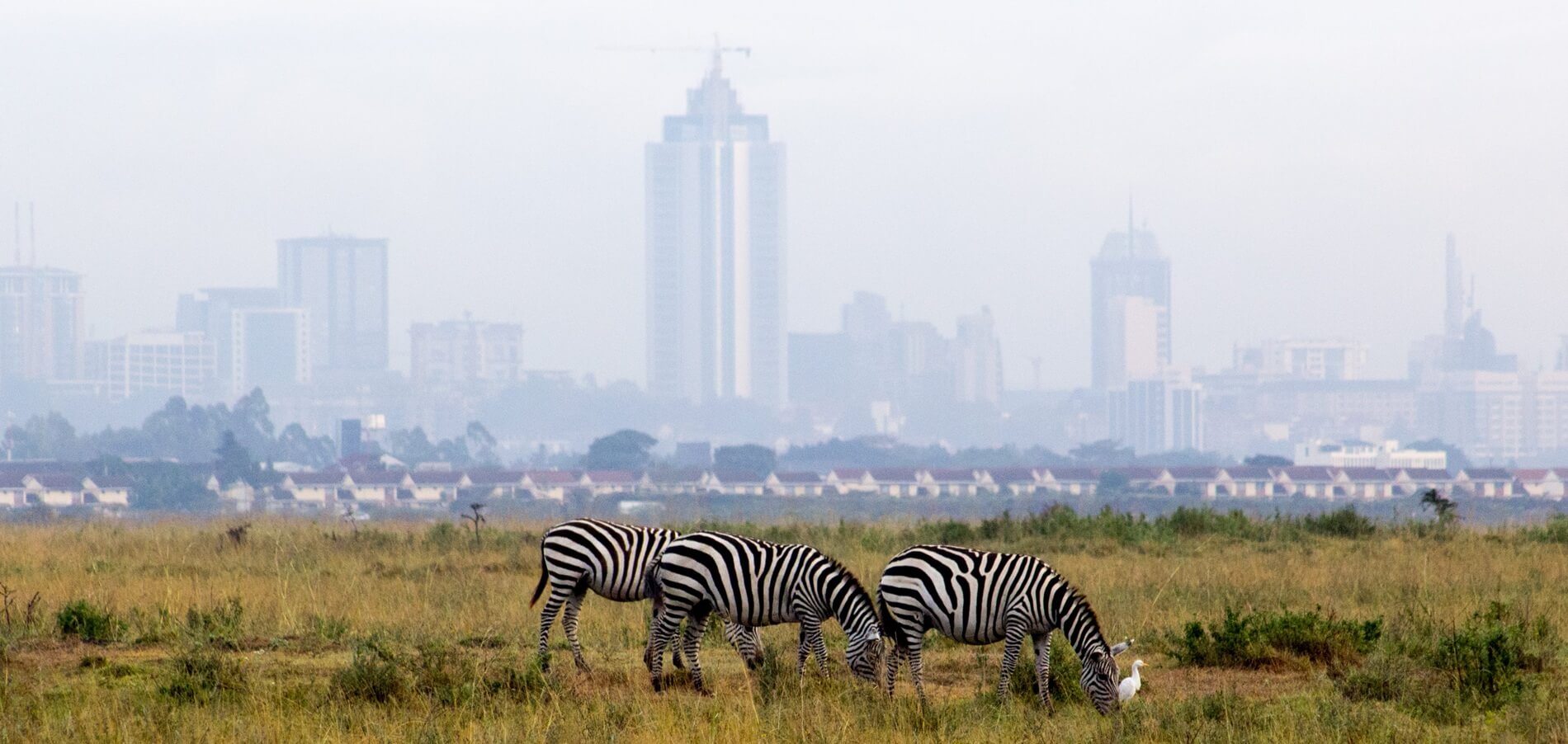 Servizio di autista a Nairobi