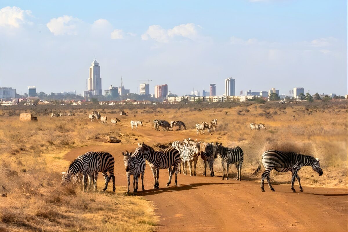 Autista privato a Nairobi: Scopra la capitale del Kenya con comodità e stile 2 autista privato a Nairobi