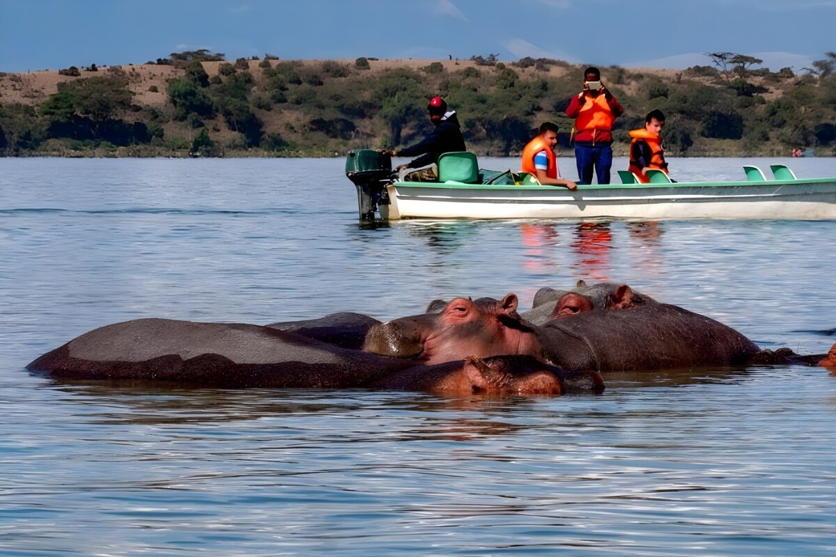 Autista privato a Nairobi: Scopra la capitale del Kenya con comodità e stile 6 autista privato a Nairobi