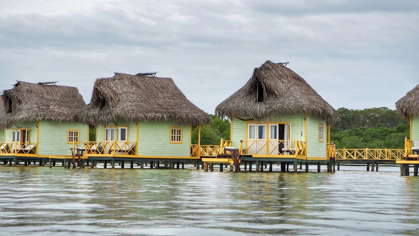 Bocas del toro