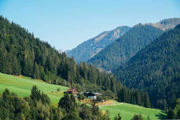 Homepage 27 Austrian Grand Prix 2026: A Chauffeur Guide to Spielberg