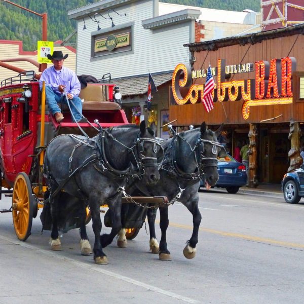 Private driver by the hour in Jackson WY