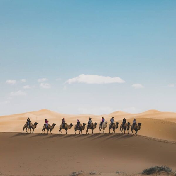 Jeddah chauffeur by the hour
