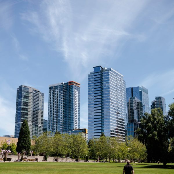 Bellevue chauffeur service