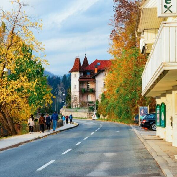 bled-slovenia-november-beautiful-landscape-road-bled-slovenia-travel-europe Bled slovenia november landscape