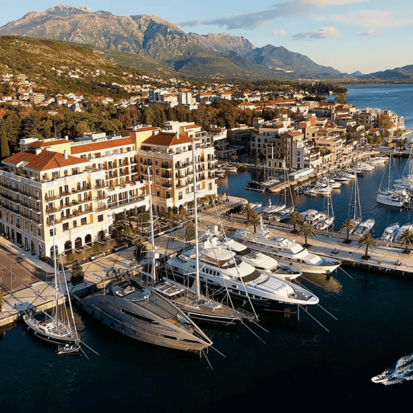 tivat chauffeur by the hour