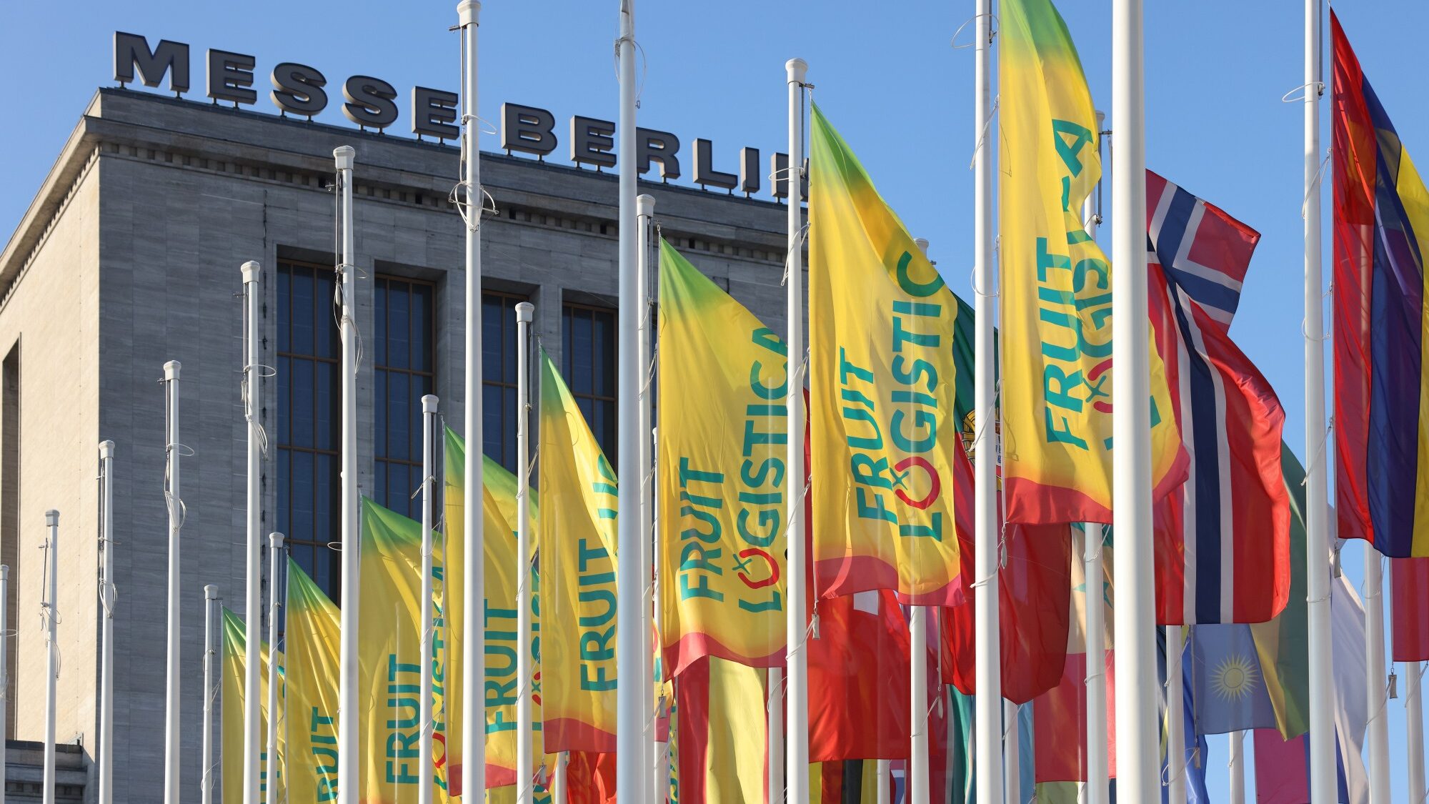 Février à Berlin : Transport premium pour Fruit Logistica et Berlinale 2025